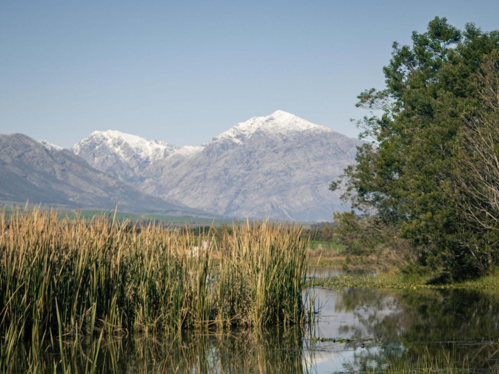 Duikersdrift Winelands Country Escape Hotel Tulbagh Eksteriør billede
