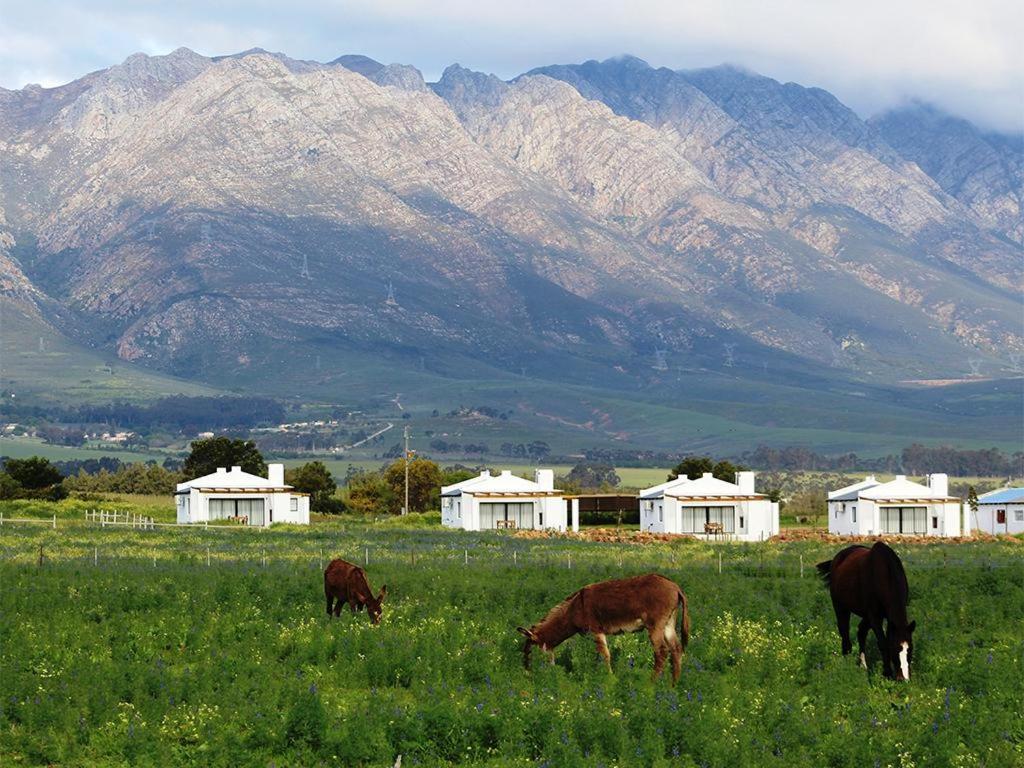 Duikersdrift Winelands Country Escape Hotel Tulbagh Eksteriør billede